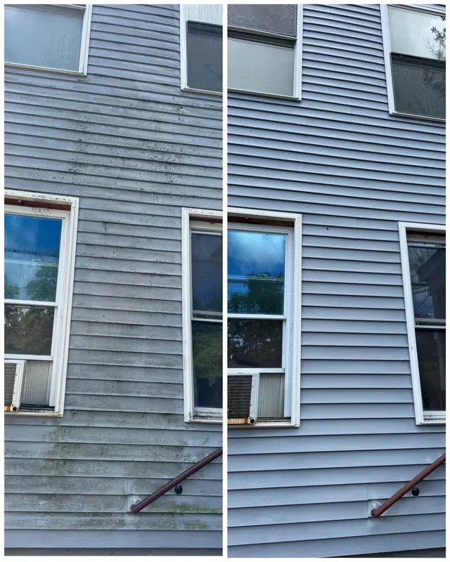 Close before and after comparison of organic growth removed from vinyl siding